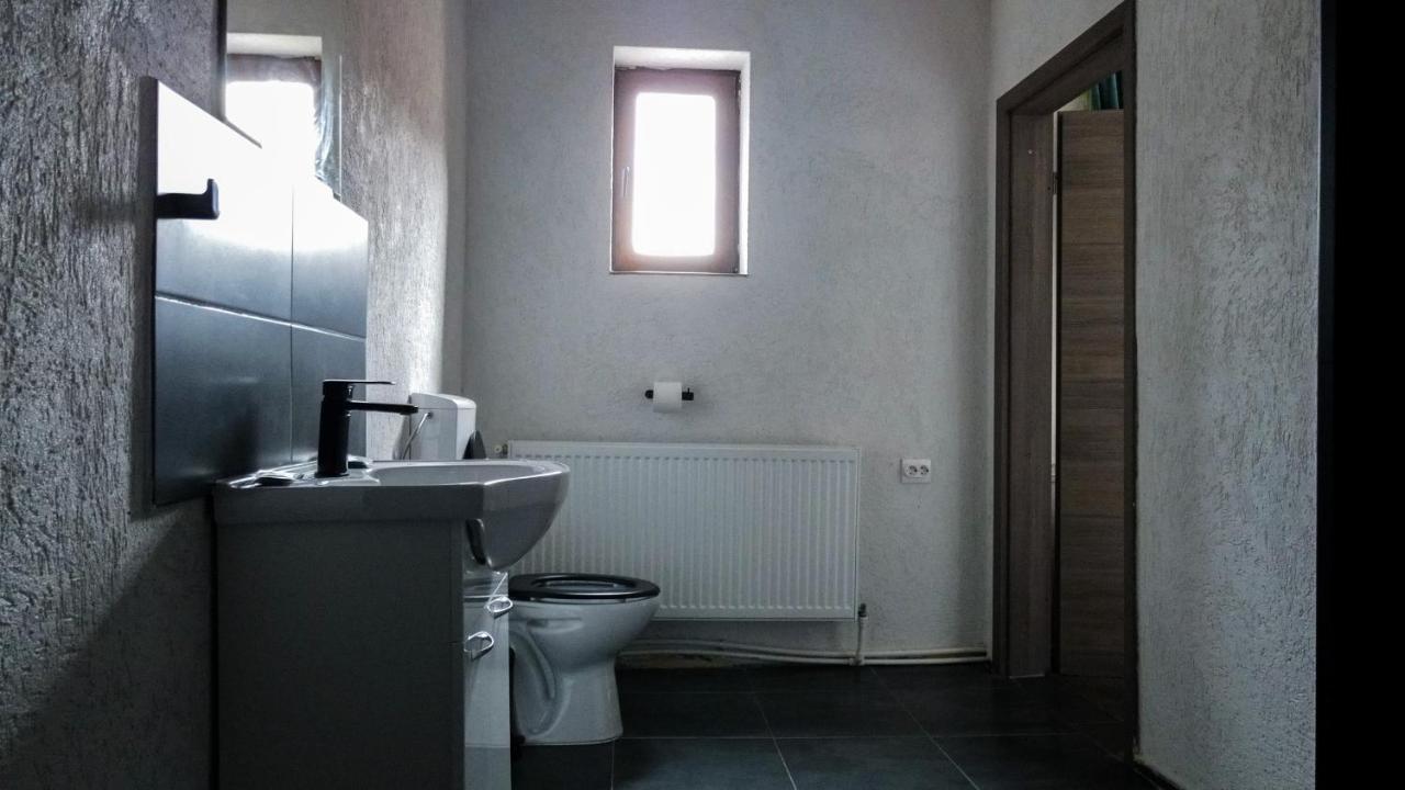 Pensiunea Alunul Remeţi Exterior foto